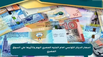 أسعار الدينار التونسي أمام الجنيه المصري اليوم وتأثيرها على السوق المصري